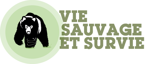 Vie Sauvage et Survie
